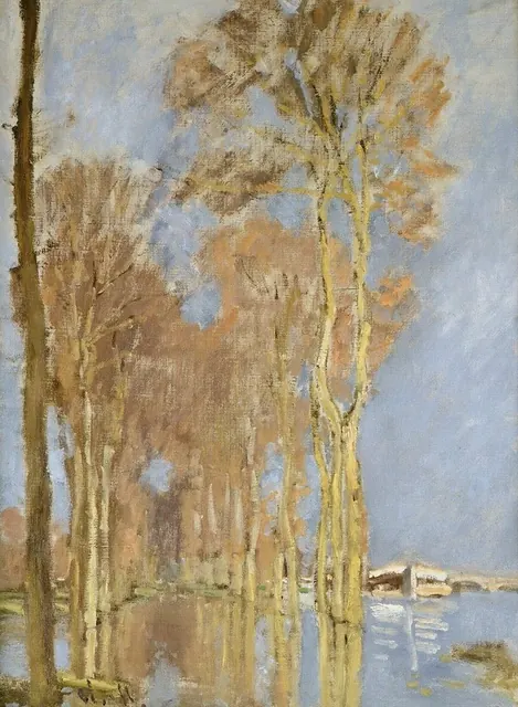 Monet, Inondation